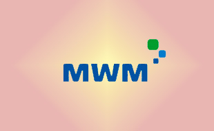 ✓ MWM 0205 2093 Запчасть MWM 